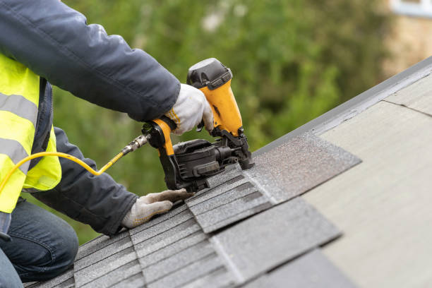 Best Roof Maintenance and Cleaning  in Newton, AL