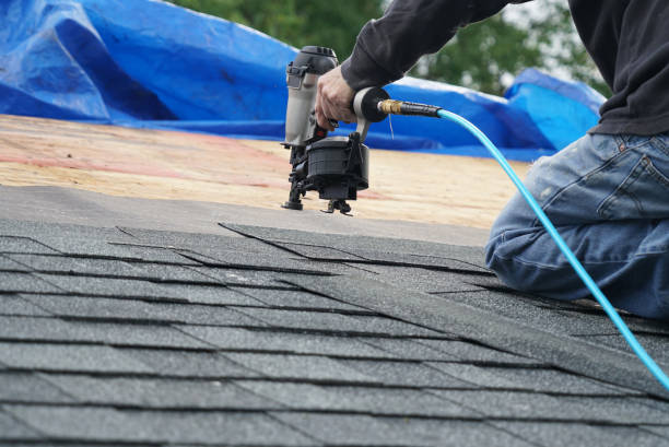 Fast & Reliable Emergency Roof Repairs in Newton, AL